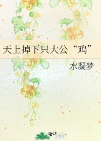 天上掉下只大公“鸡”