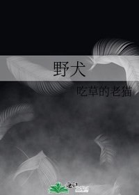 野犬